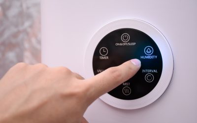 What’s the Ideal Humidity Level for Maximum Home Comfort?